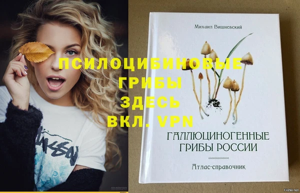 соль курить ск Верхний Тагил