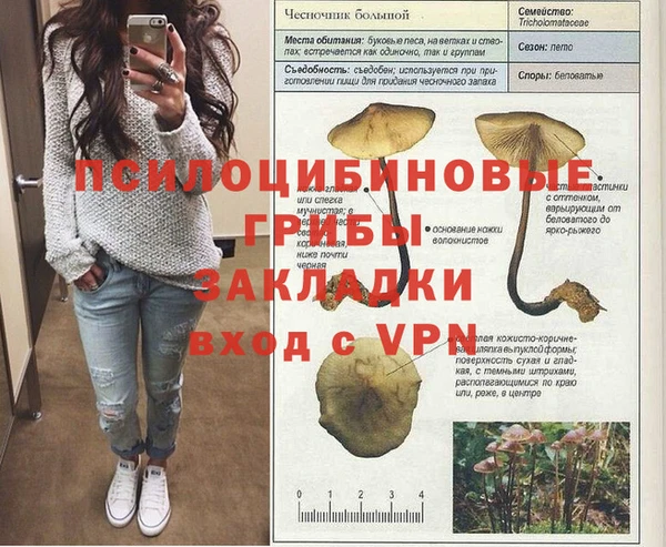 синтетический гашиш Вязьма