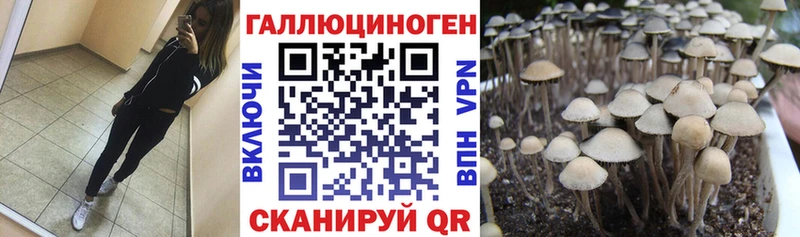 Псилоцибиновые грибы Psilocybine cubensis  Закаменск 